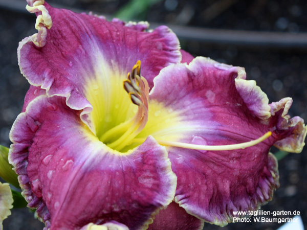 catalog/images/startseite/Dan Mack Michell.jpg